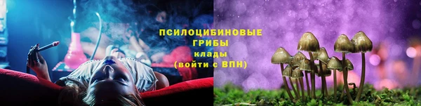 ешки Иннополис