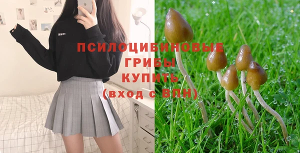 ешки Иннополис