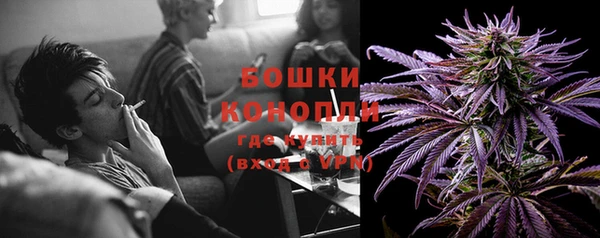 ешки Иннополис